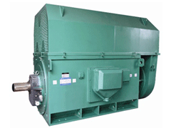 陆丰Y系列6KV高压电机